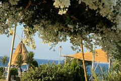 20240803_185451000_iOS-2