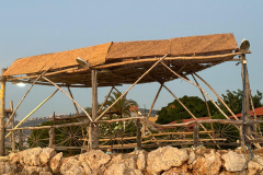 20240803_185451000_iOS