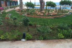 Photo-Jun-11-6-53-57-PM