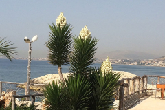 Photo-Jun-19-4-27-27-PM