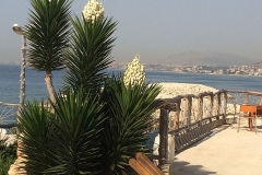 Photo-Jun-19-4-27-37-PM