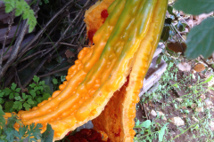 Photo-Nov-04-6-42-04-AM