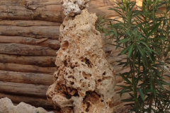 Photo-Oct-20-8-20-06-AM