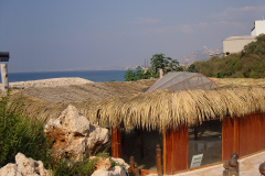 SAMSUNG DIGITAL CAMERA