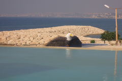 SAMSUNG DIGITAL CAMERA